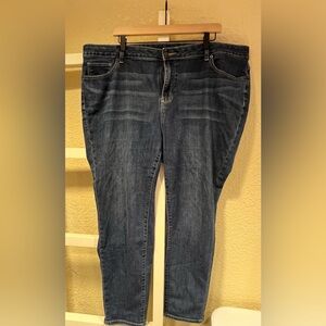 Westport Signature Fit Skinny, size 20W